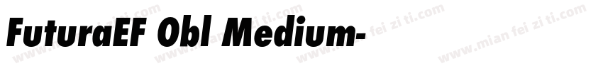 FuturaEF Obl Medium字体转换